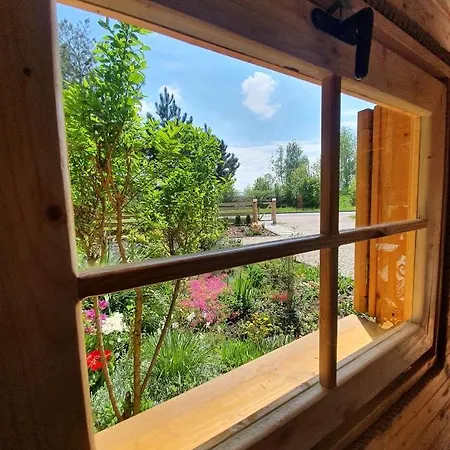 Hébergement de vacances Sosnowy