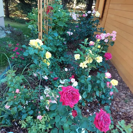 Sosnowy Hébergement de vacances Zator