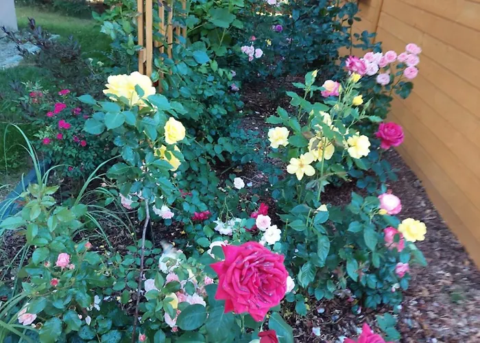 Sosnowy Сasa de vacaciones Zator